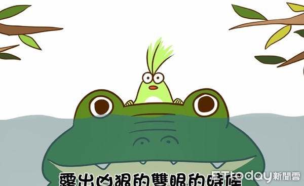 ▲鱷魚,水中漫步,站著,水中,泡水。（圖／翻攝自影片／播吧）