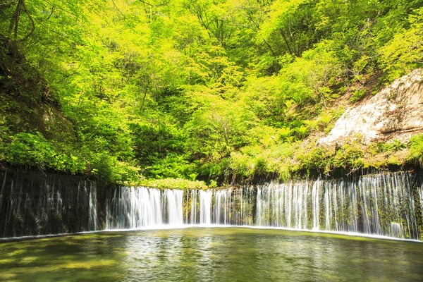 ▲輕旅行▼（圖／shutterstock.com、五福旅遊、新加坡濱海灣花園提供）