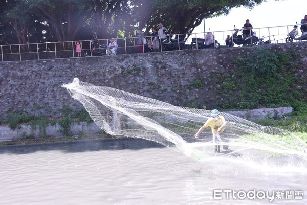 花蓮市原住民聯合捕魚節有12個阿美族部落及1個太魯閣族協會參與，活動最熱鬧的就是傳統下水撒網成為周邊攝影的焦點。（圖／花蓮市公所提供）