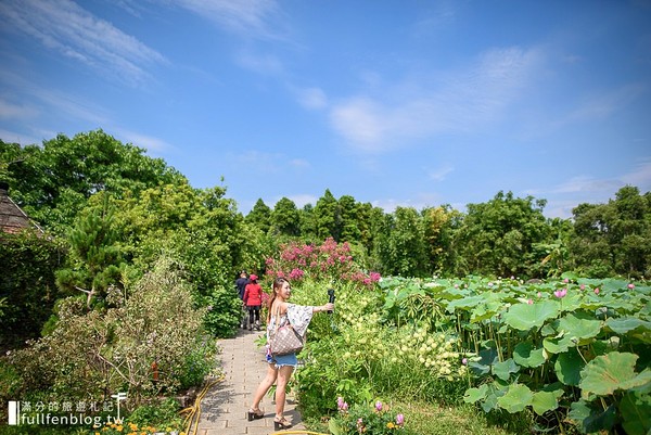 ▲桃園蓮荷園休閒農場坐大王蓮。（圖／滿分的旅遊札記提供）