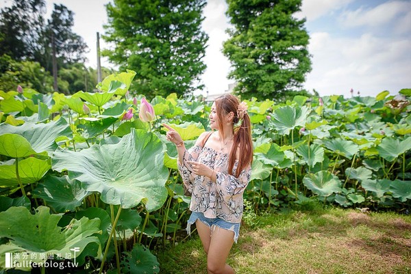 ▲桃園蓮荷園休閒農場坐大王蓮。（圖／滿分的旅遊札記提供）