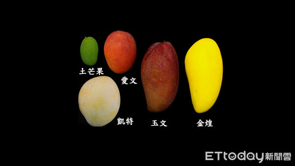▲芒果。（圖／行政院農業委員會提供）