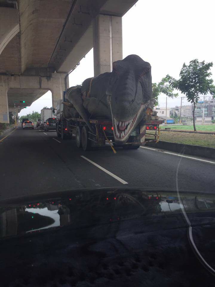 ▲開車遇到暴龍。（圖／翻攝自爆笑公社）