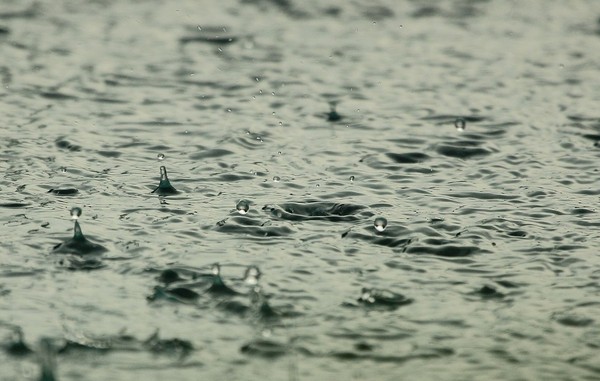 ▲雨,窗戶 。（圖／pixabay）
