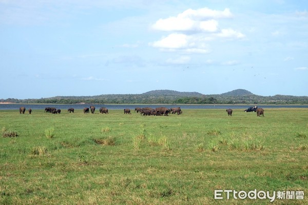 ▲斯里蘭卡米內日亞國家公園。（圖／記者于佳云攝）
