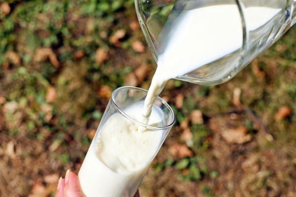 ▲過期牛奶。（圖／pixabay.com）
