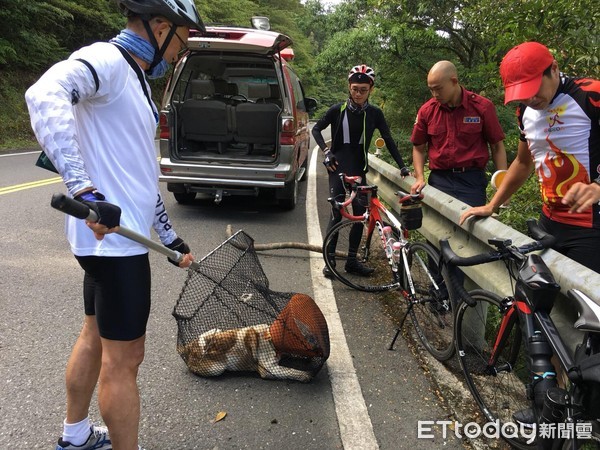 鬥牛犬跌落山谷，熱心騎友救援！（圖／網友Jessica Chou提供，請勿隨意翻拍，以免侵權。）