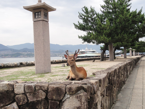 ▲宮島鬼太郎▼（圖／鳳凰旅遊提供）