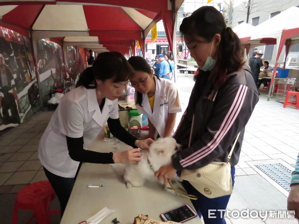 ▲獸醫師替毛小孩植入晶片及施打狂犬病疫苗。（圖／動保處提供，下同）