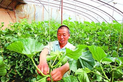 ▲寧夏治沙（圖／新華社、寧夏林業廳供圖）