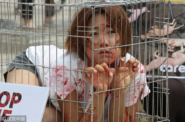 ▲▼ 韓國動物保護者自困「囚籠」抗議食用狗肉（圖／CFP）