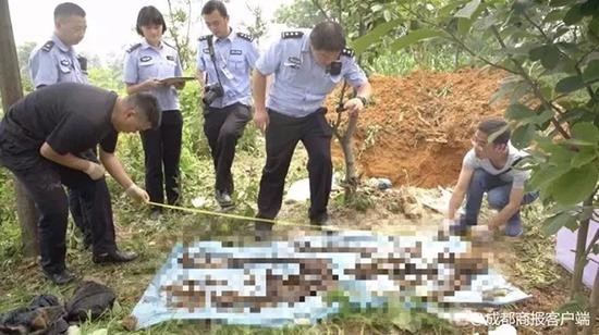 ▲警方在地窖挖出李姓男子的白骨，已藏14年。（圖／翻攝自成都商報）
