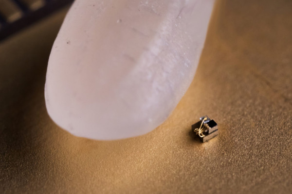 ▲比一顆米粒還要小！密西根大學展示超微型電腦（圖／翻攝密西根大學）