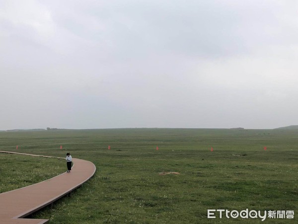 ▲先映入眼簾的，一望無際的綠色草原。（圖／記者蔡浩祥攝）