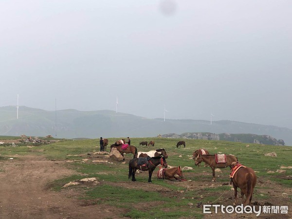 ▲「天空草原」附近一帶，圈養著許多馬匹。（圖／記者蔡浩祥攝）