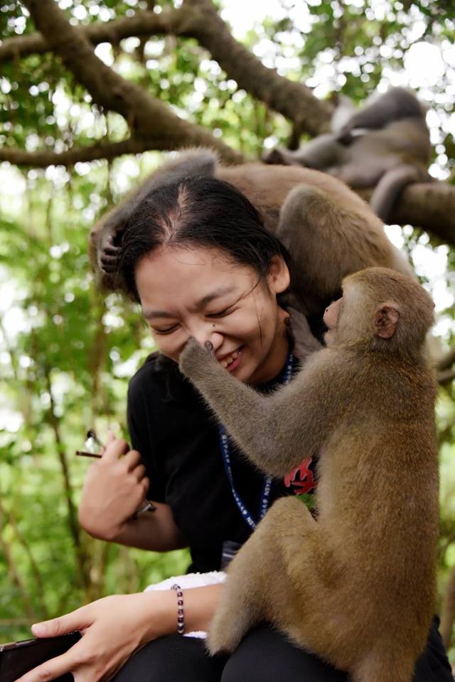 ▲林美吟認為，台灣獼猴的黑暗時代將來臨。（圖／林美吟授權使用，請勿隨意翻拍，以免侵權。）