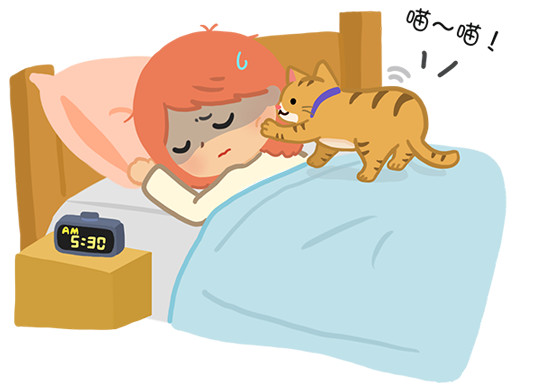 ▲毛起來配圖。