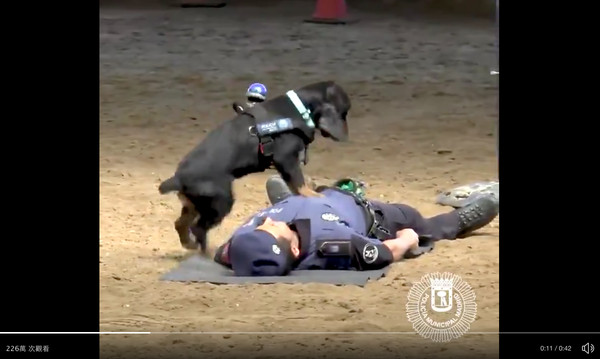 （圖／翻攝自推特@policiademadrid）