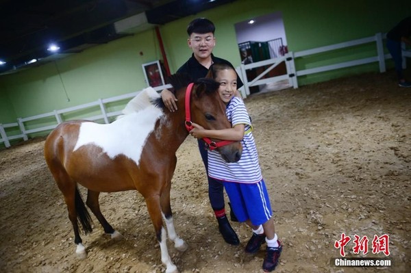 ▲▼內蒙古一所小學教學生學習騎馬。（中新網）