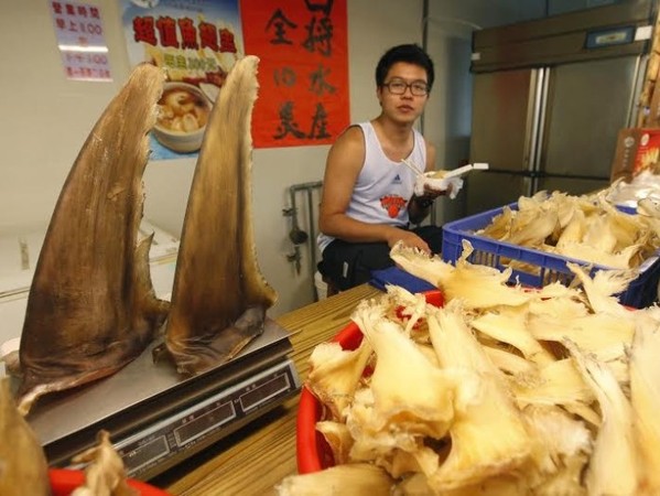 ▲▼環保團體推改吃永續年菜。魚翅。（圖／綠色和平提供） 