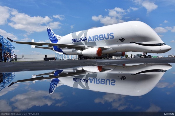 ▲▼ 大白鯨XL,BelugaXL（圖／翻攝自Airbus官網）