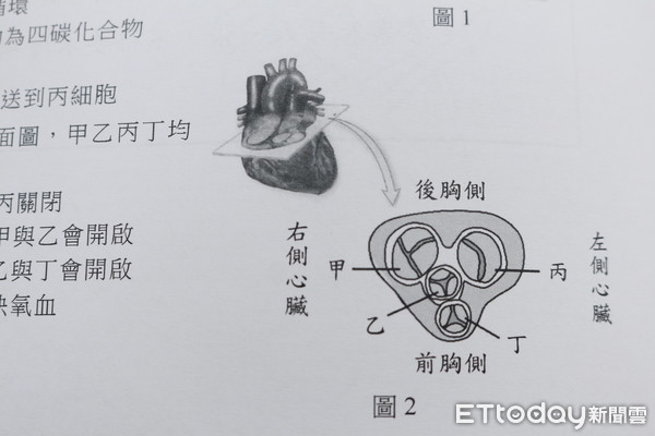 ▲▼2018大學指考生物,指考。（圖／記者蔡玟君攝）