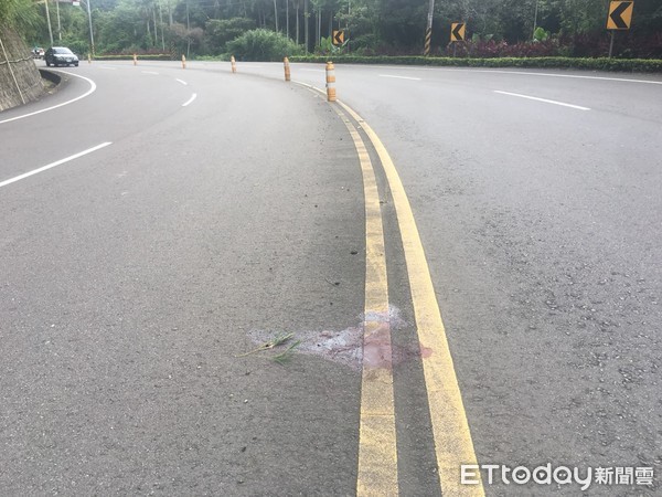 石虎遭路殺！農民移大體避碾壓。（圖／鍾孔紹立委助理陳翊綾拍攝。）