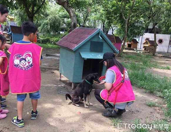 ▲台南市動保處動物之家，時常接獲民眾來電欲捐贈物資給毛小孩使用，民眾的愛心使得收留在動物之家的毛小孩，生活品質更好。（圖／動保處提供，下同）