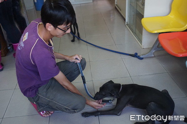 ▲台南市動保處動物之家，時常接獲民眾來電欲捐贈物資給毛小孩使用，民眾的愛心使得收留在動物之家的毛小孩，生活品質更好。（圖／動保處提供，下同）