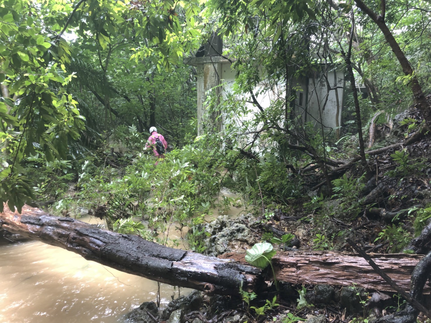 ▲▼傳說中的高雄柴山瀑布因大雨再現。（圖／記者宋德威攝，下同）