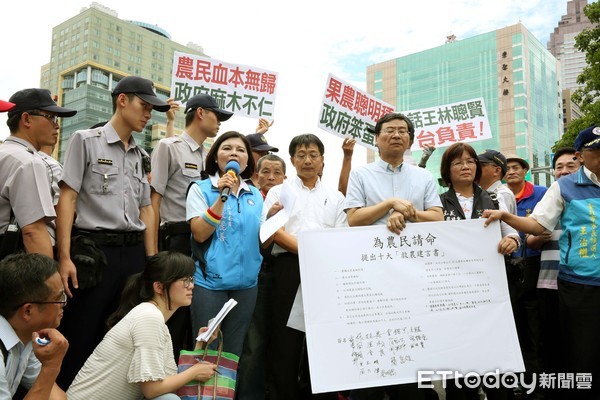 ▲鳳梨農北上行政院抗議▼。（圖／記者屠惠剛攝）