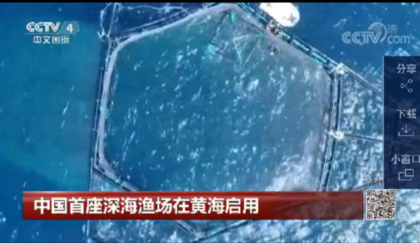 ▲▼中國首座深海漁場在黃海啟用。（圖／翻攝自央視網）