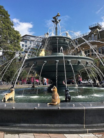 ▲▼ 加拿大多倫多的寵物噴泉 Berczy Park。（圖／海馬老爸的嚐遊日記提供）