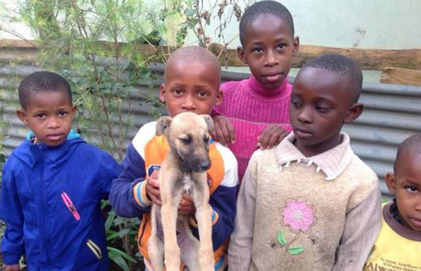 ▲五的善良孩子，向當地寵物庇護所(Ismael Animal Rescue Tanzania)的Mungaya請求幫忙。（圖／（圖／翻攝至Facebook／Ismael Animal Rescue Tanzania）