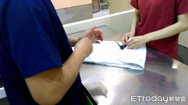 ▲▼懷孕母貓遭狗咬死！志工傷心收屍　驚見「幼貓奇蹟出世」哭了。（圖／林招吟助理教授授權提供）