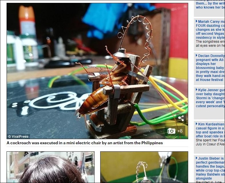 ▲菲律賓帕西格（Pasig）一名藝術家「電刑」闖進家門的蟑螂。（圖／翻攝自每日郵報）