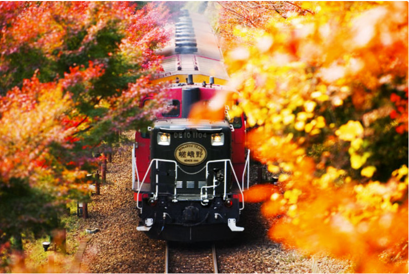 ▲▼嵐山小火車。（圖／翻攝自嵯峨野観光鉄道官網）