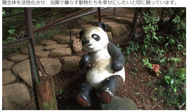 ▲沒人要來！日本動物園快倒閉　園長心碎：可愛動物恐被安樂死。（圖／翻攝自makuake）