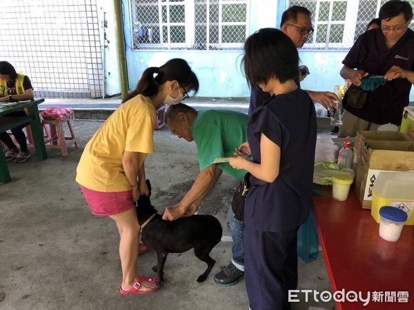 ▲▼94隻犬貓由飼主完成免絕育申報。（圖／記者宋德威攝）