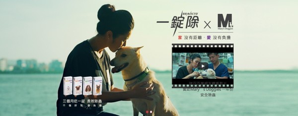 一錠除贊助Mary’s Doggies百隻狗狗一年份安全除蟲（圖／業者提供）