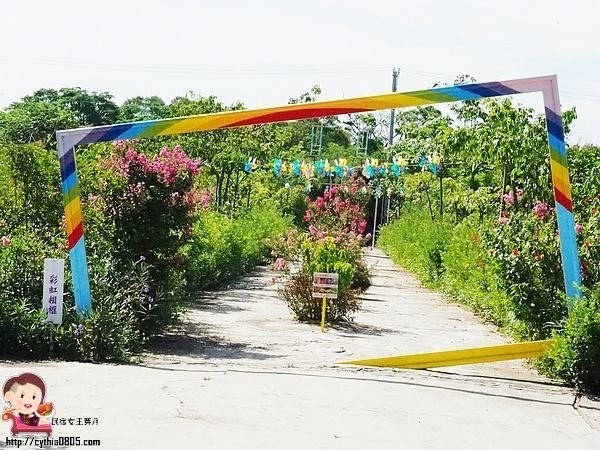 ▲台灣地景花園。（圖／網友民宿女王芽月提供，請勿隨意翻拍，以免侵權。）