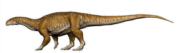 ▲三疊紀巨型恐龍模擬圖。（圖／路透社）