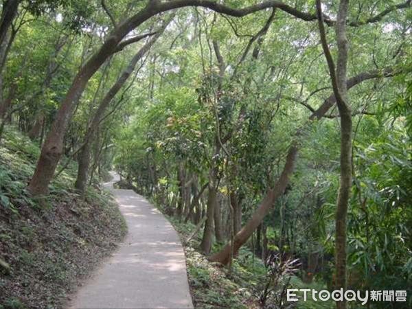 ▲▼彰化田中森林登山步道驚傳民眾遭水鹿踢傷（圖／取自參山國家公園風景區網站）