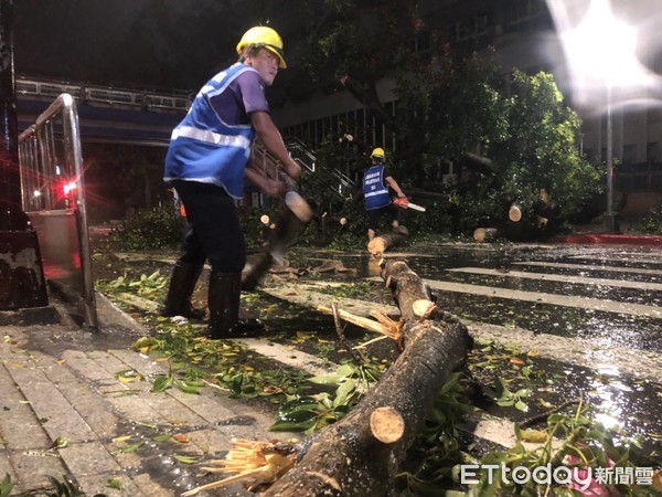 ▲▼公館路樹倒塌，警消及北市府人員到場協助清理路樹。（圖／記者趙永博攝）