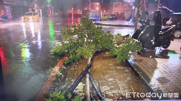 ▲▼新北市多處路樹倒塌，砸到路邊車輛。（圖／記者趙永博翻攝）