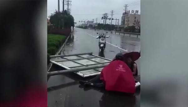 ▲瑪莉亞颱風，路牌倒塌後壓死路人。（圖／翻攝微博）