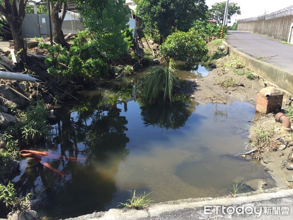 ▲仁德區機場路495巷旁排水溝，環保局13日上前派員前往稽查，仍無發現污染情況。（圖／記者林悅翻攝）