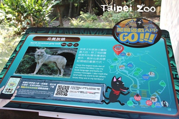 ▲臺北市立動物園與臺北商業大學首次合作開發使用的遊戲闖關APP。