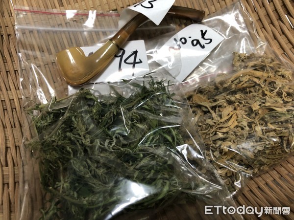 ▲▼警方查獲大麻植株共117株。（圖／記者宋德威攝，下同）