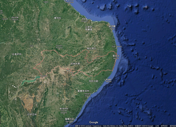 ▲▼巴西培南布可州（Pernambuco）。（圖／google map）